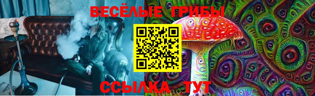 Галлюциногенные грибы Psilocybine cubensis  наркошоп  Усолье-Сибирское  Вход с VPN 